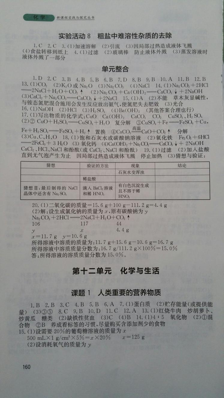 2015年新课程实践与探究丛书九年级化学下册人教版 第18页