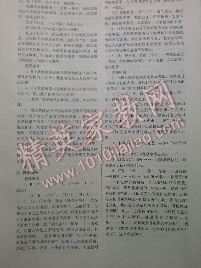 2015年新課程問(wèn)題解決導(dǎo)學(xué)方案九年級(jí)語(yǔ)文下冊(cè)人教版 第12頁(yè)