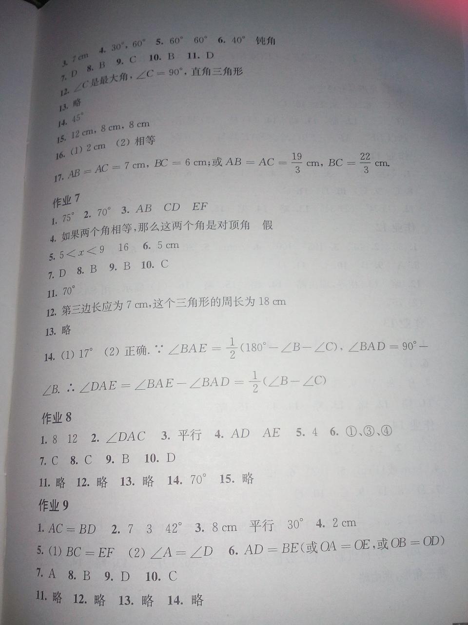 数学寒假作业八年级沪科版上海科学技术出版社 第11页