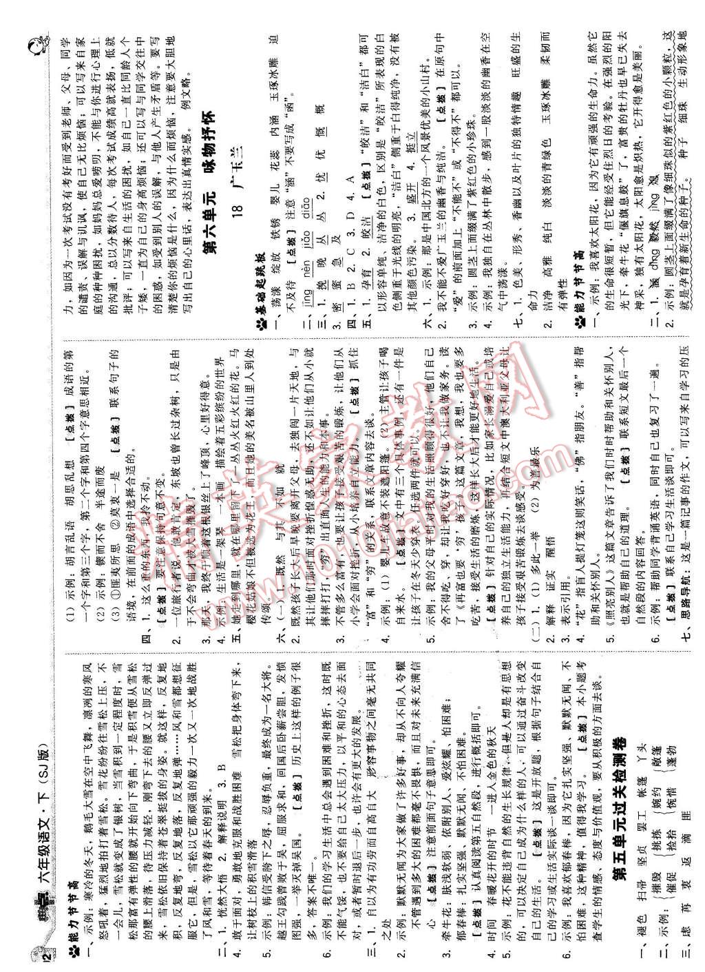 2016年綜合應用創(chuàng)新題典中點六年級語文下冊蘇教版 第10頁