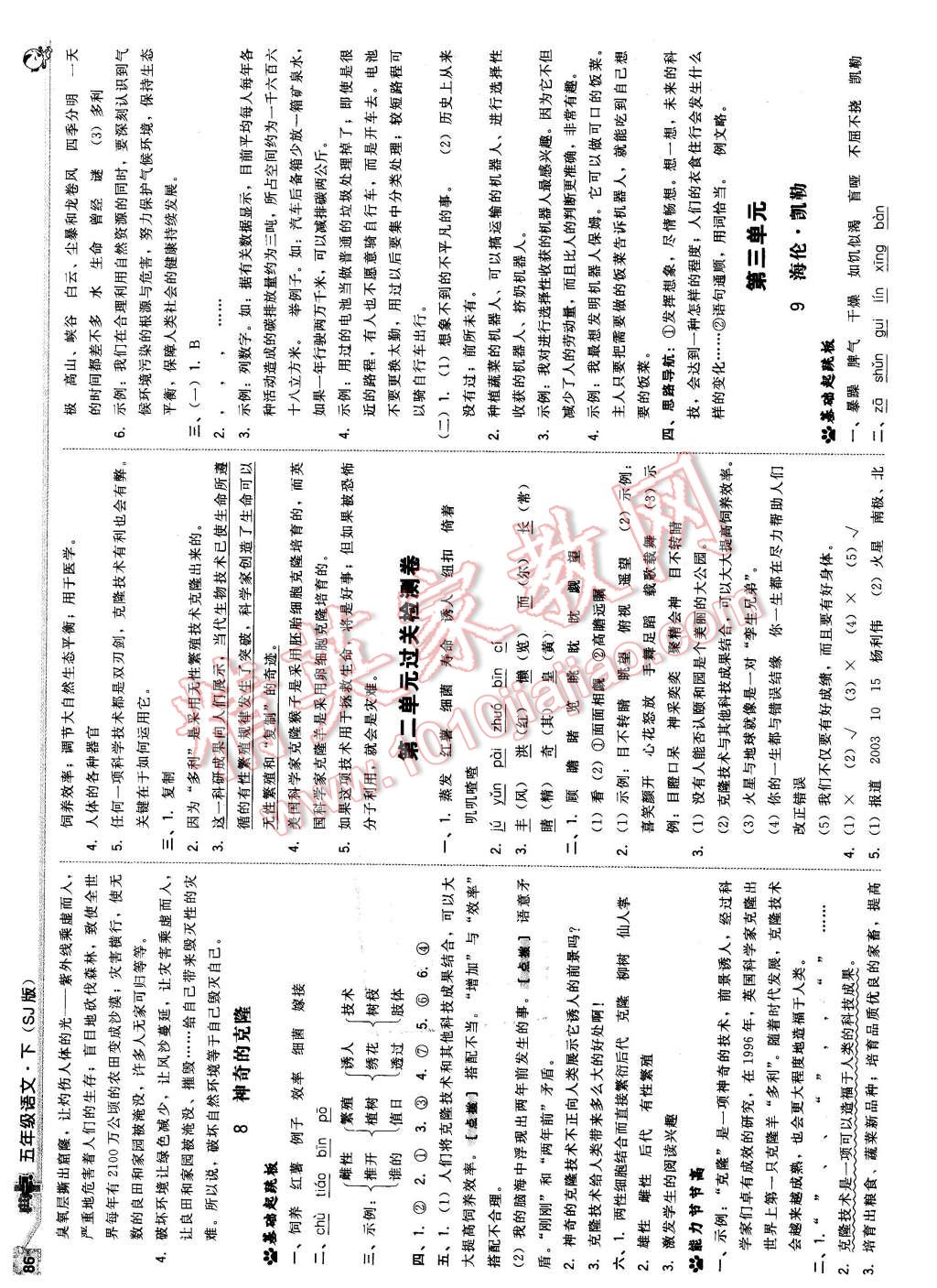 2016年綜合應(yīng)用創(chuàng)新題典中點五年級語文下冊蘇教版 第4頁