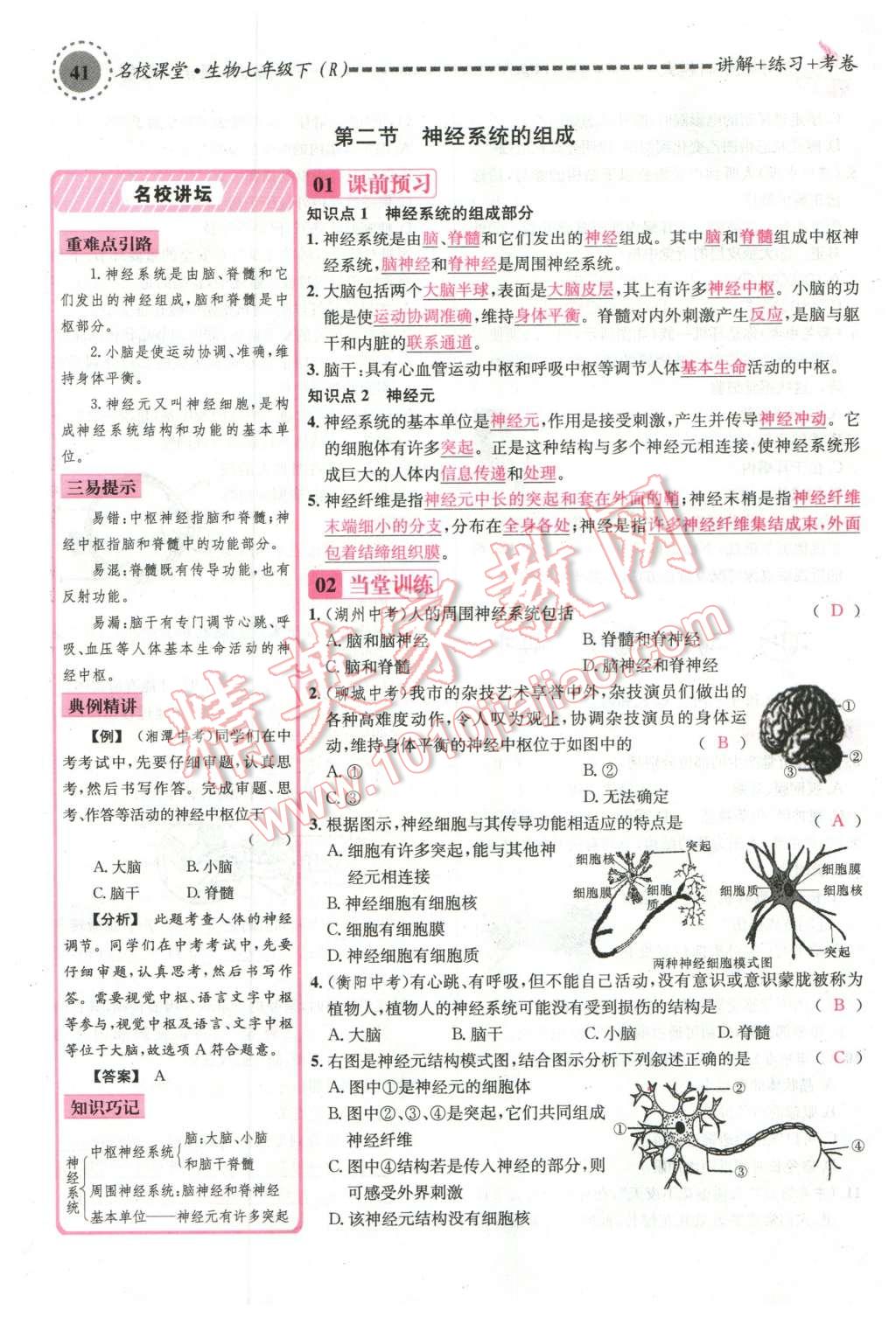 2016年名校課堂滾動學(xué)習(xí)法七年級生物下冊人教版教師用書 第41頁