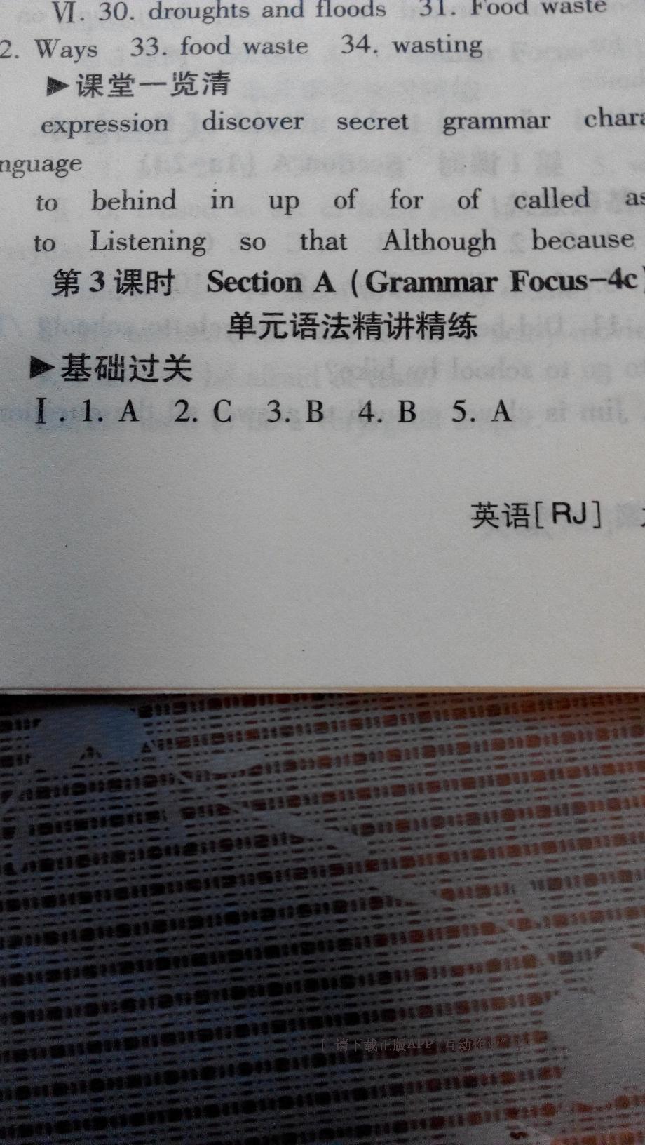 2015年全效學(xué)習(xí)九年級英語全一冊人教版 第19頁