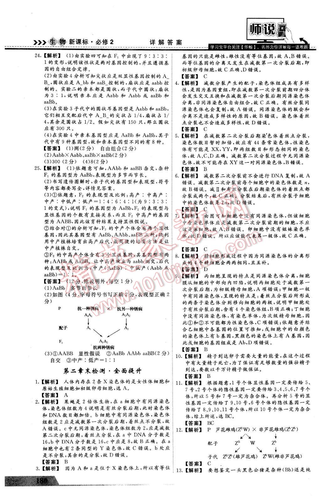 2016年師說高中同步導(dǎo)學(xué)案生物必修2 第36頁