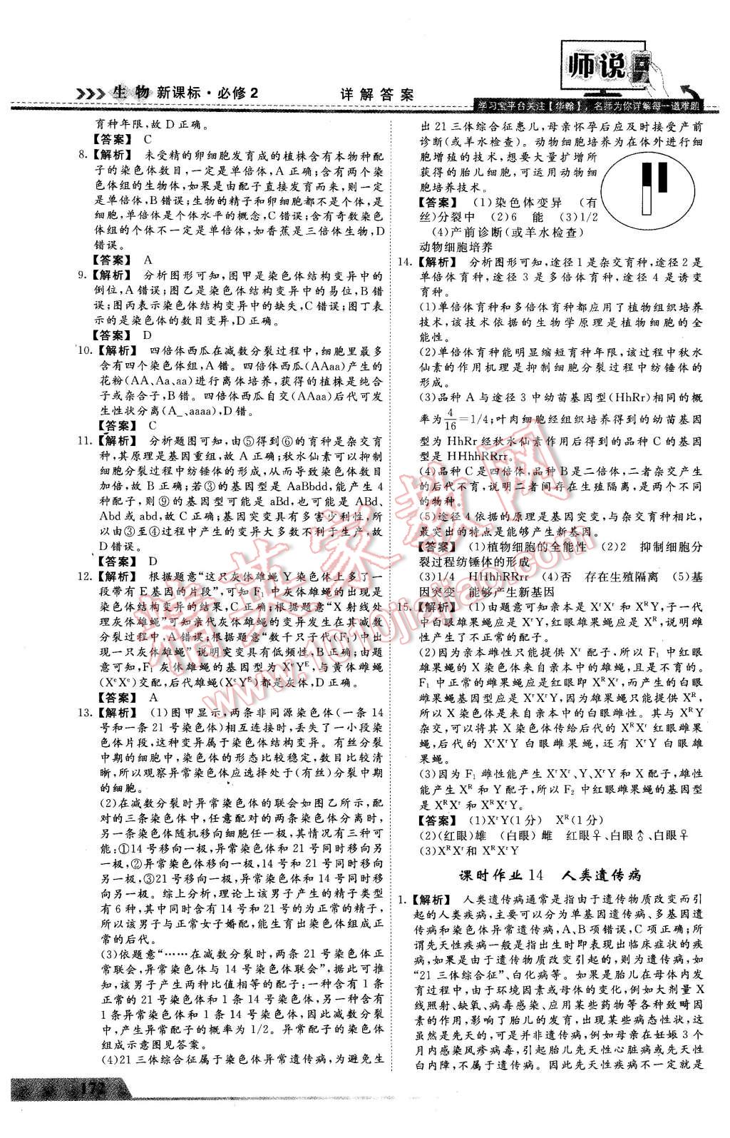 2016年師說高中同步導(dǎo)學(xué)案生物必修2 第28頁