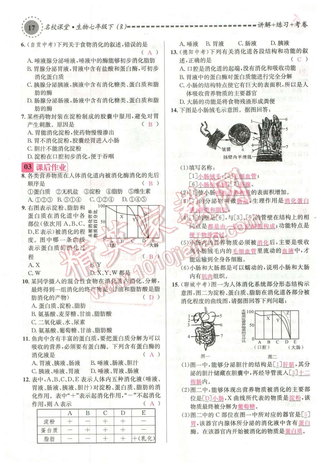 2016年名校課堂滾動(dòng)學(xué)習(xí)法七年級(jí)生物下冊(cè)人教版教師用書 第17頁