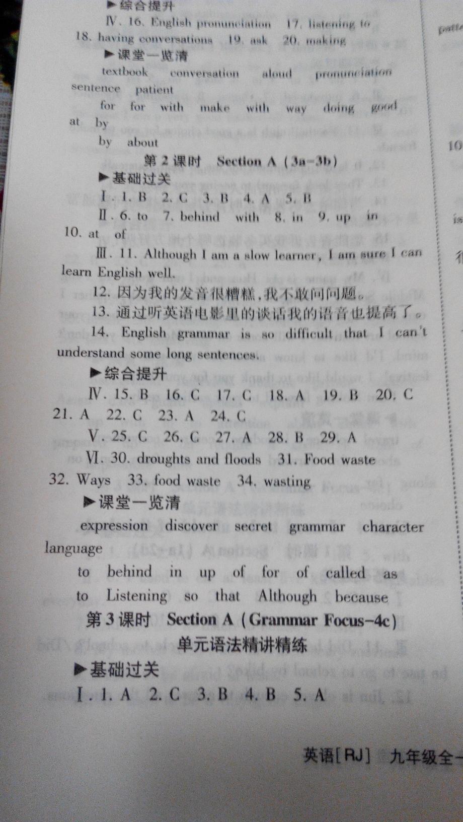 2015年全效學習九年級英語全一冊人教版 第18頁