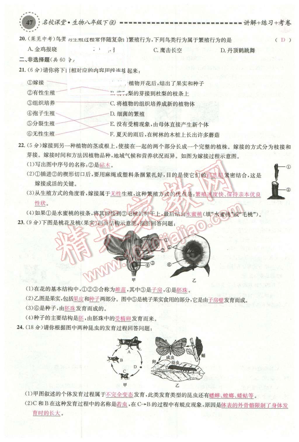 2016年名校課堂滾動學習法八年級生物下冊人教版 第3頁