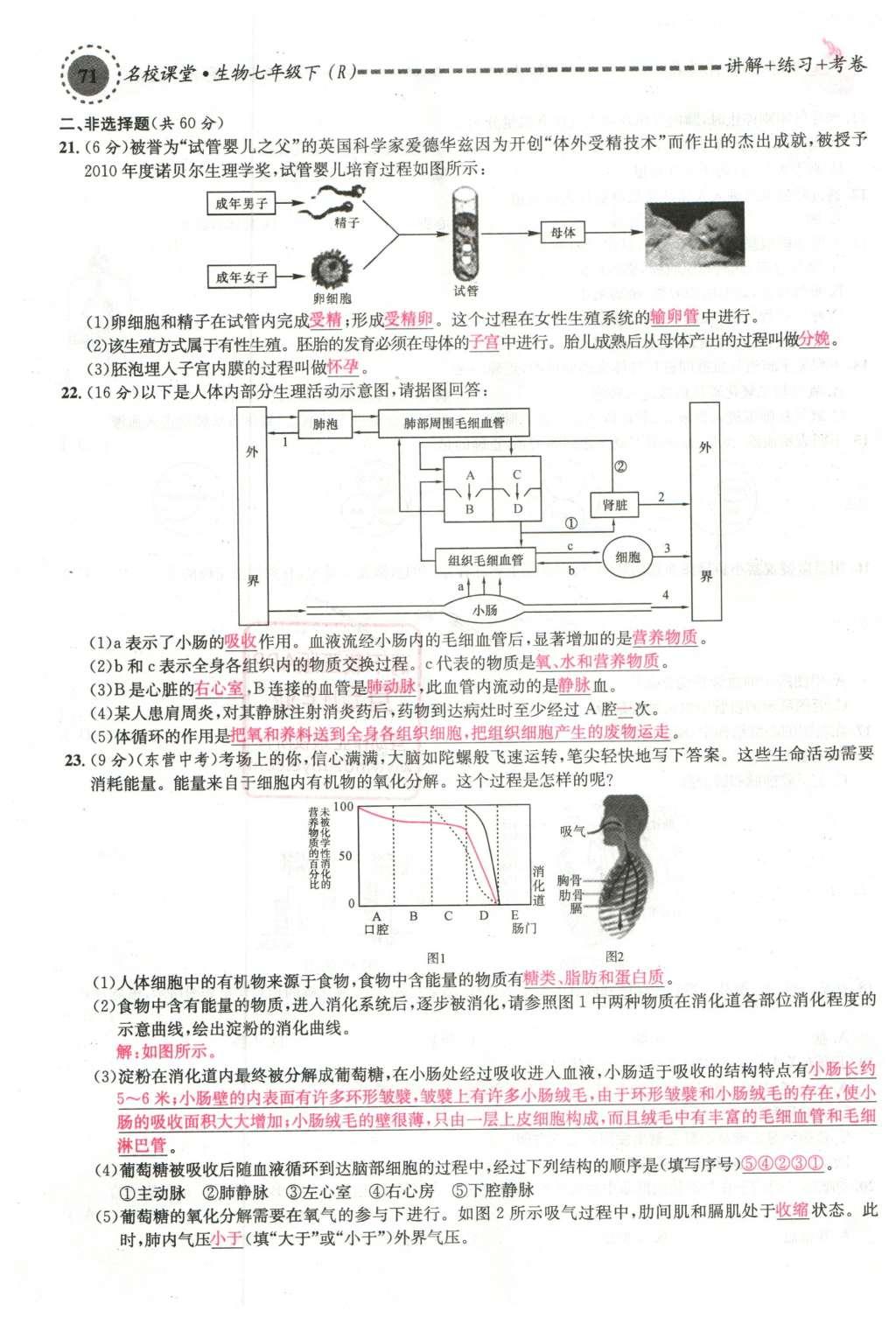 2016年名校課堂滾動(dòng)學(xué)習(xí)法七年級(jí)生物下冊人教版教師用書 第71頁