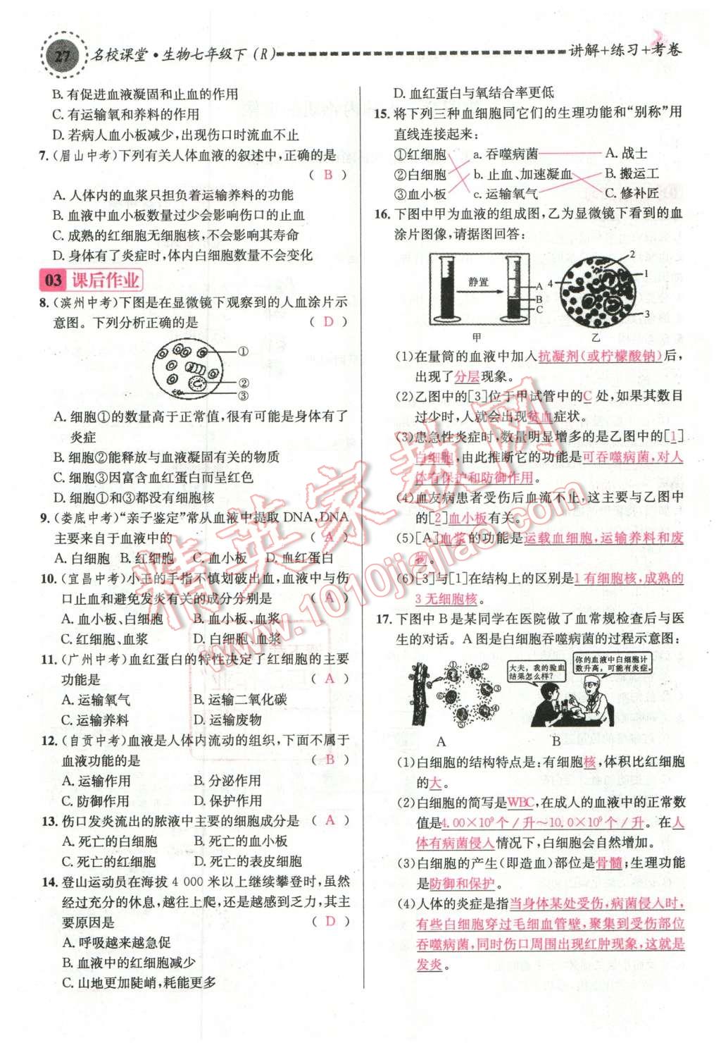 2016年名校课堂滚动学习法七年级生物下册人教版教师用书 第27页