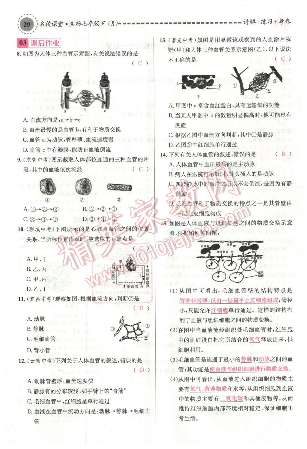 2016年名校课堂滚动学习法七年级生物下册人教版教师用书 第29页