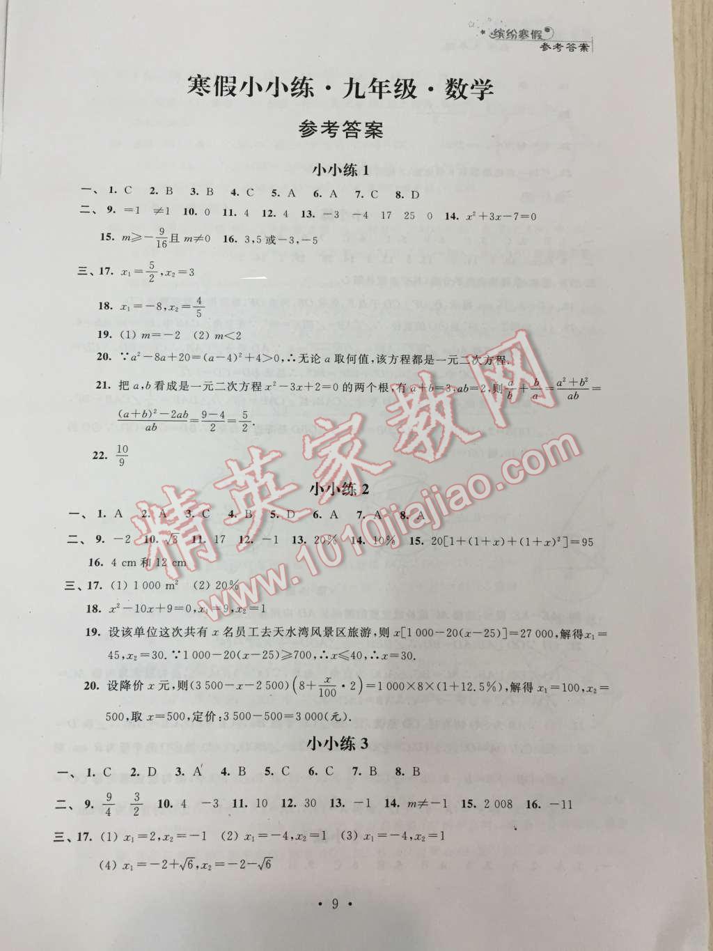 2016年寒假小小练九年级语文数学英语物理化学合订本 第9页