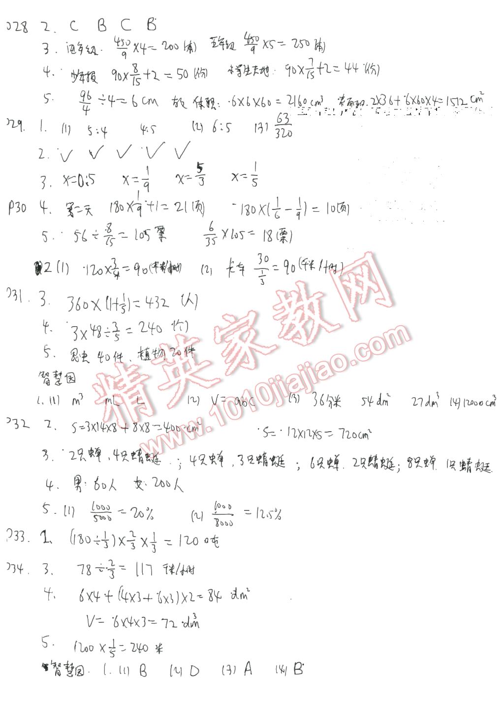 2016年寒假作业六年级数学苏教版安徽少年儿童出版社 第6页