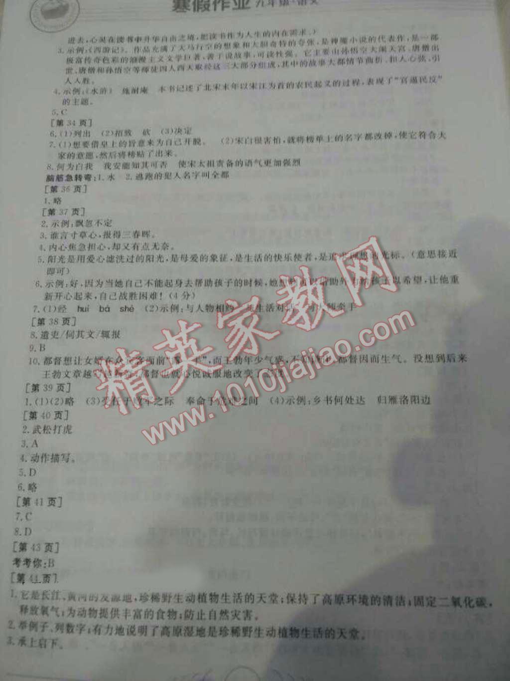 2016年寒假作业九年级语文华中科技大学出版社 第4页