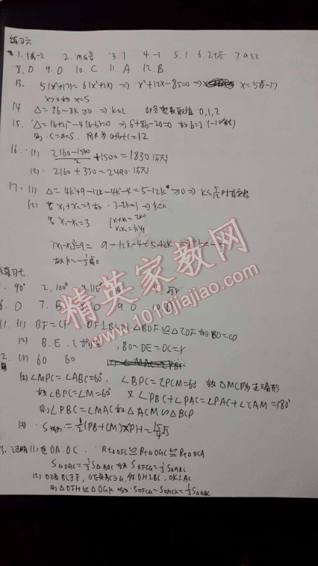 2016年寒假學習與應用初中九年級合訂本 第8頁