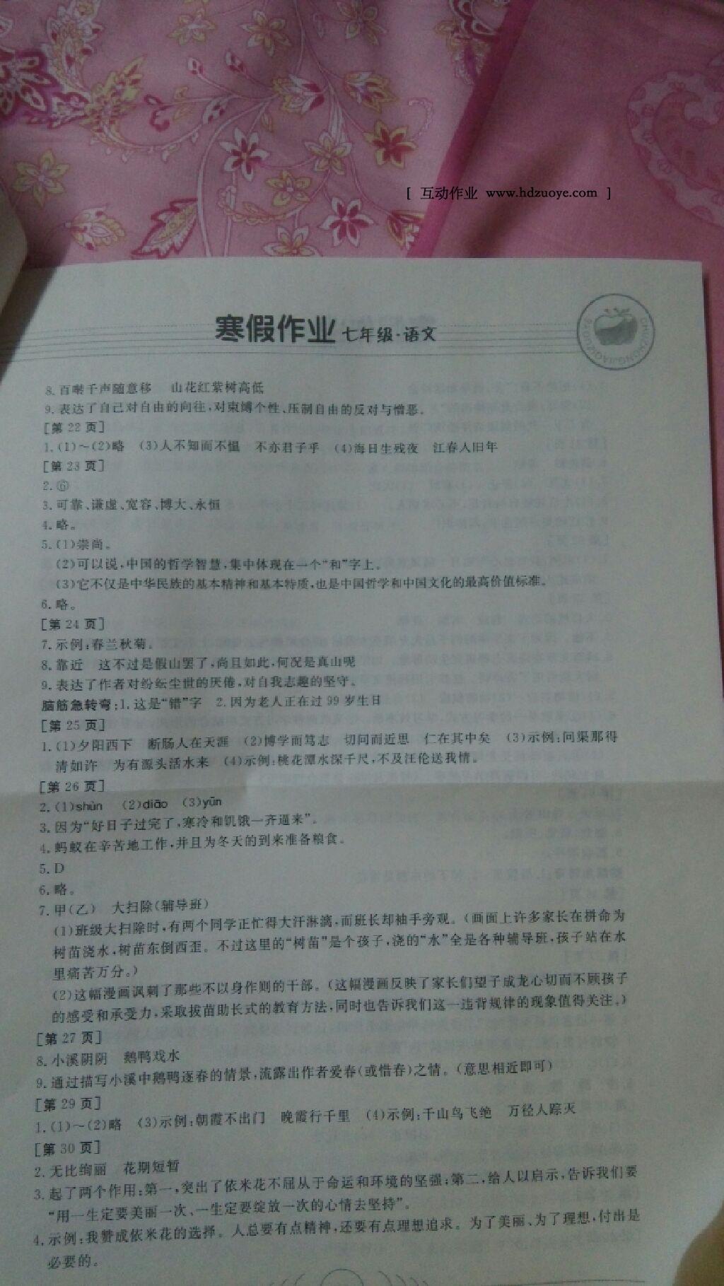 2015年寒假作业七年级语文华中科技大学出版社 第27页