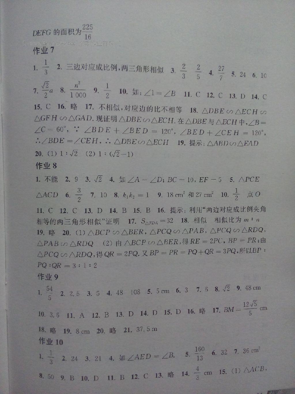 2016年寒假作业九年级数学沪科版上海科学技术出版社 第28页