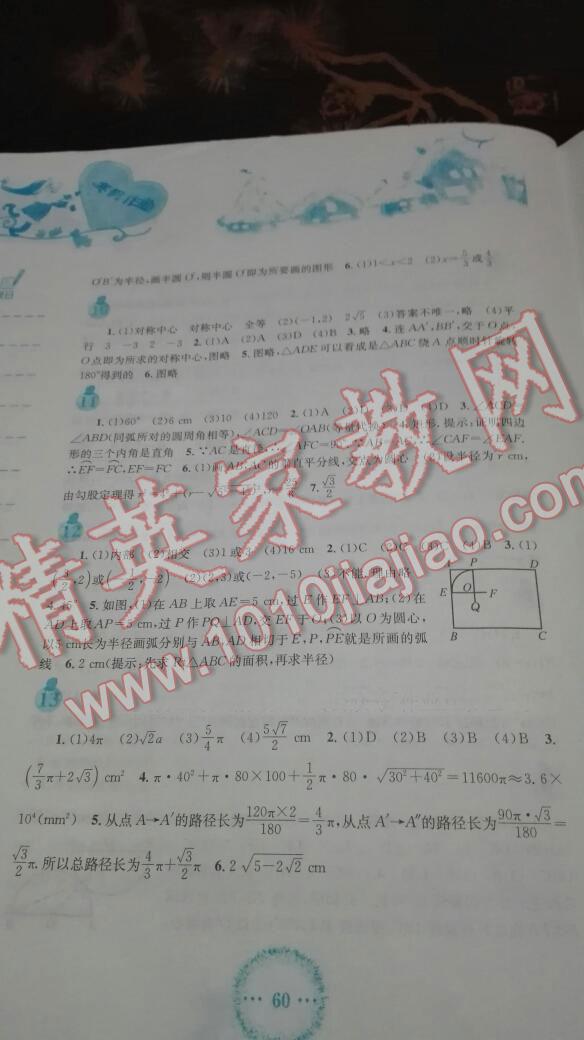 2015年寒假作业九年级数学人教版安徽教育出版社 第25页