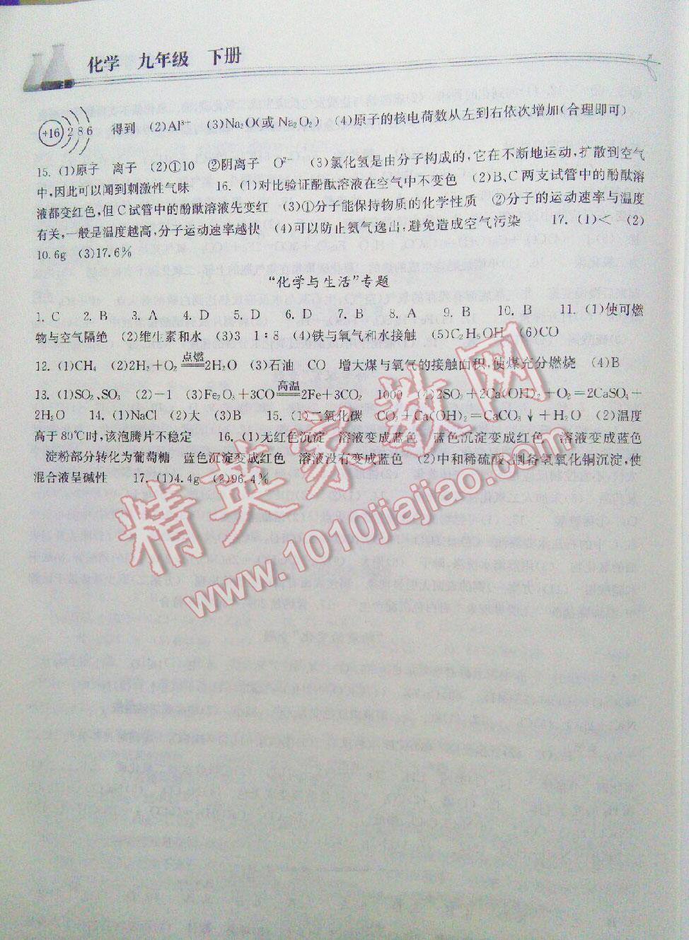 2014年长江作业本同步练习册九年级化学下册人教版 第29页