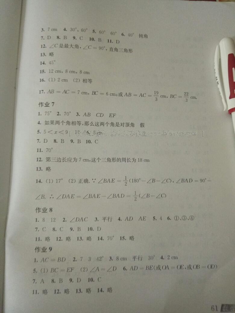 數學寒假作業(yè)八年級滬科版上?？茖W技術出版社 第23頁