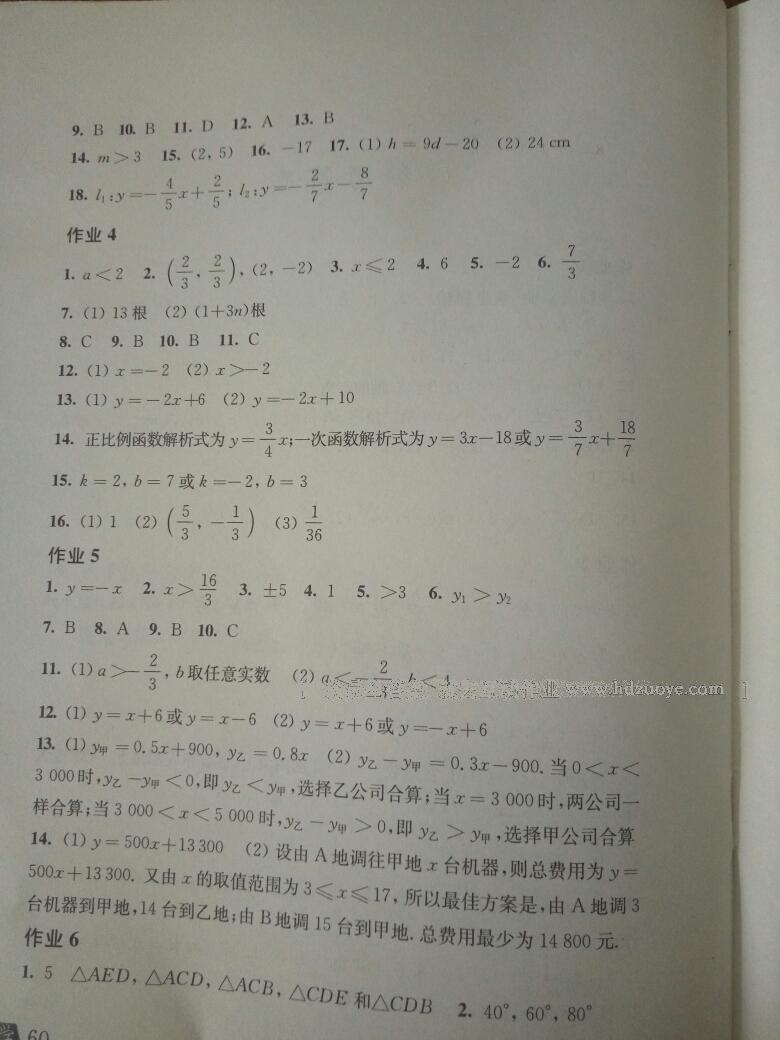 數(shù)學(xué)寒假作業(yè)八年級(jí)滬科版上?？茖W(xué)技術(shù)出版社 第22頁(yè)