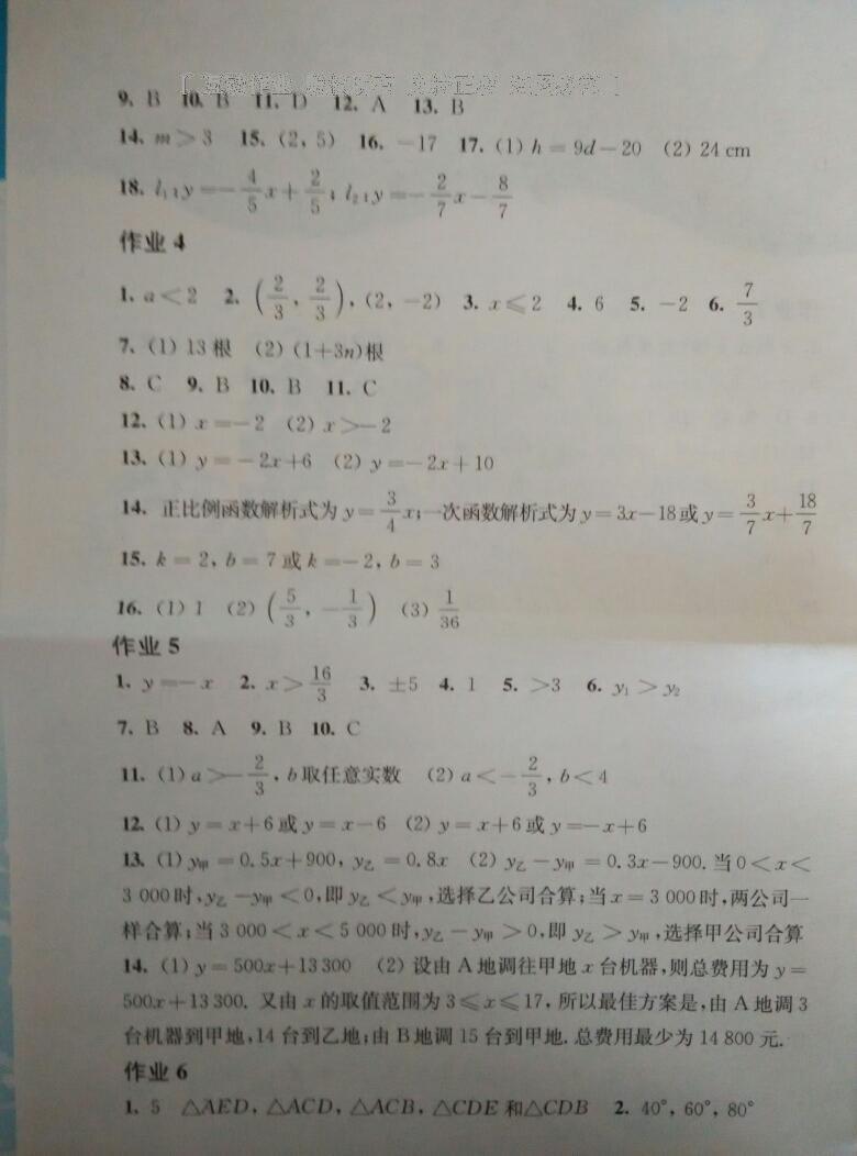 数学寒假作业八年级沪科版上海科学技术出版社 第14页