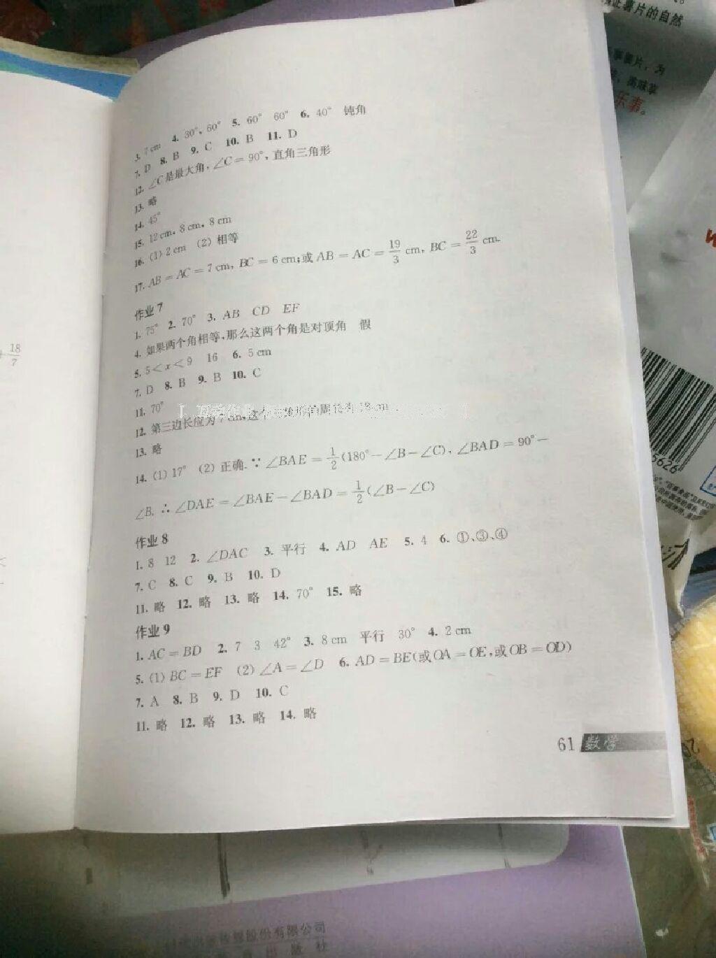 数学寒假作业八年级沪科版上海科学技术出版社 第19页