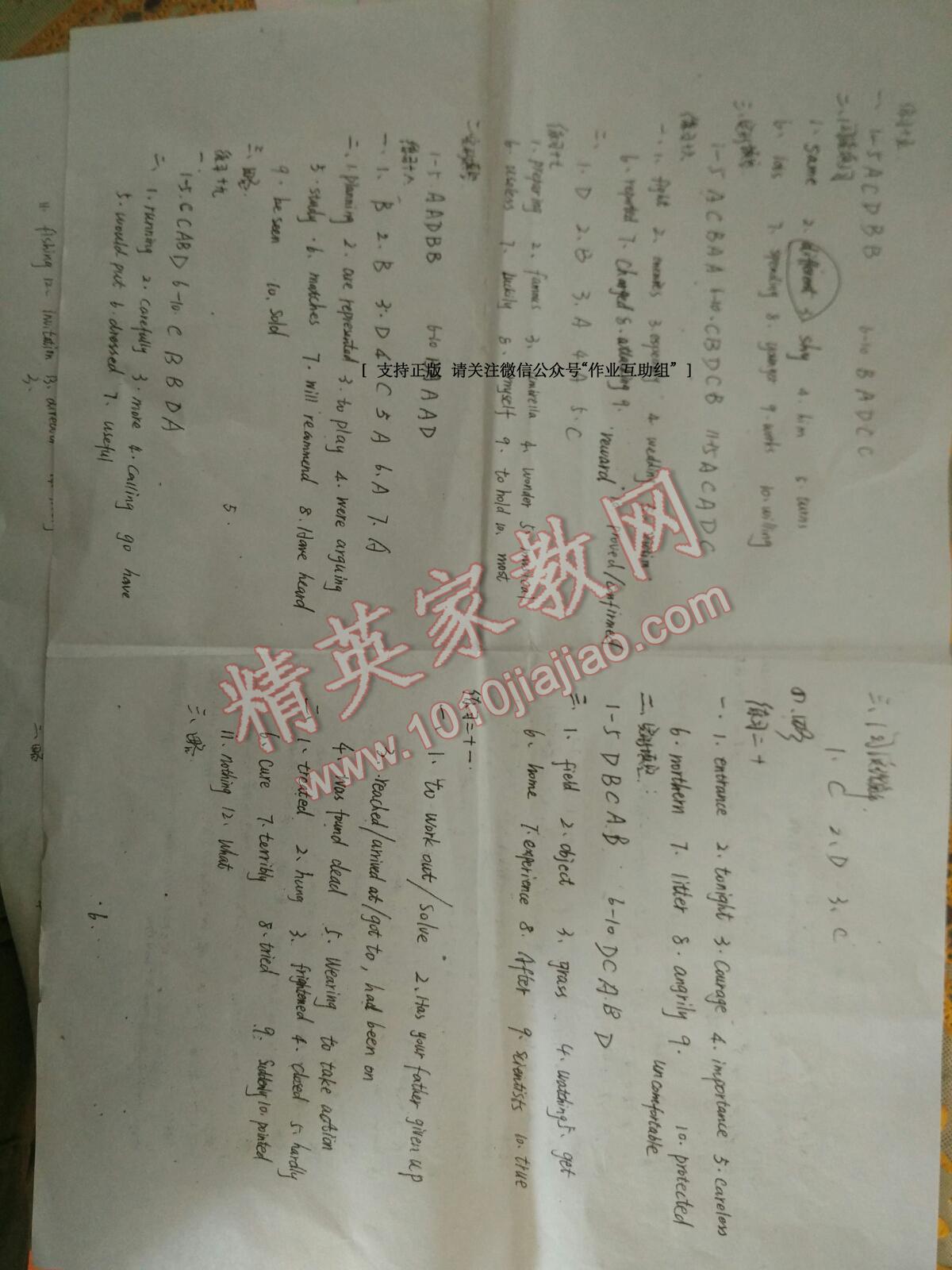 2016年寒假學習與應用初中九年級合訂本 第18頁