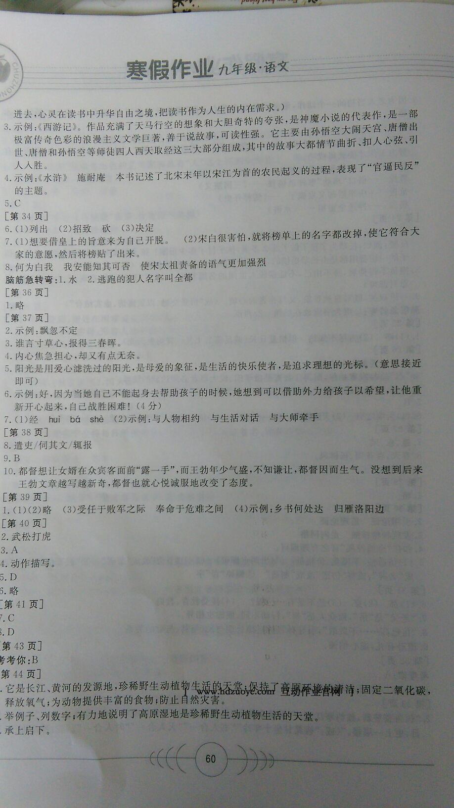 2016年寒假作业九年级语文华中科技大学出版社 第10页