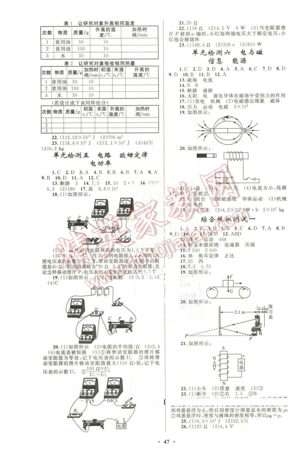 2016年初中總復(fù)習(xí)優(yōu)化設(shè)計(jì)物理人教版 第11頁