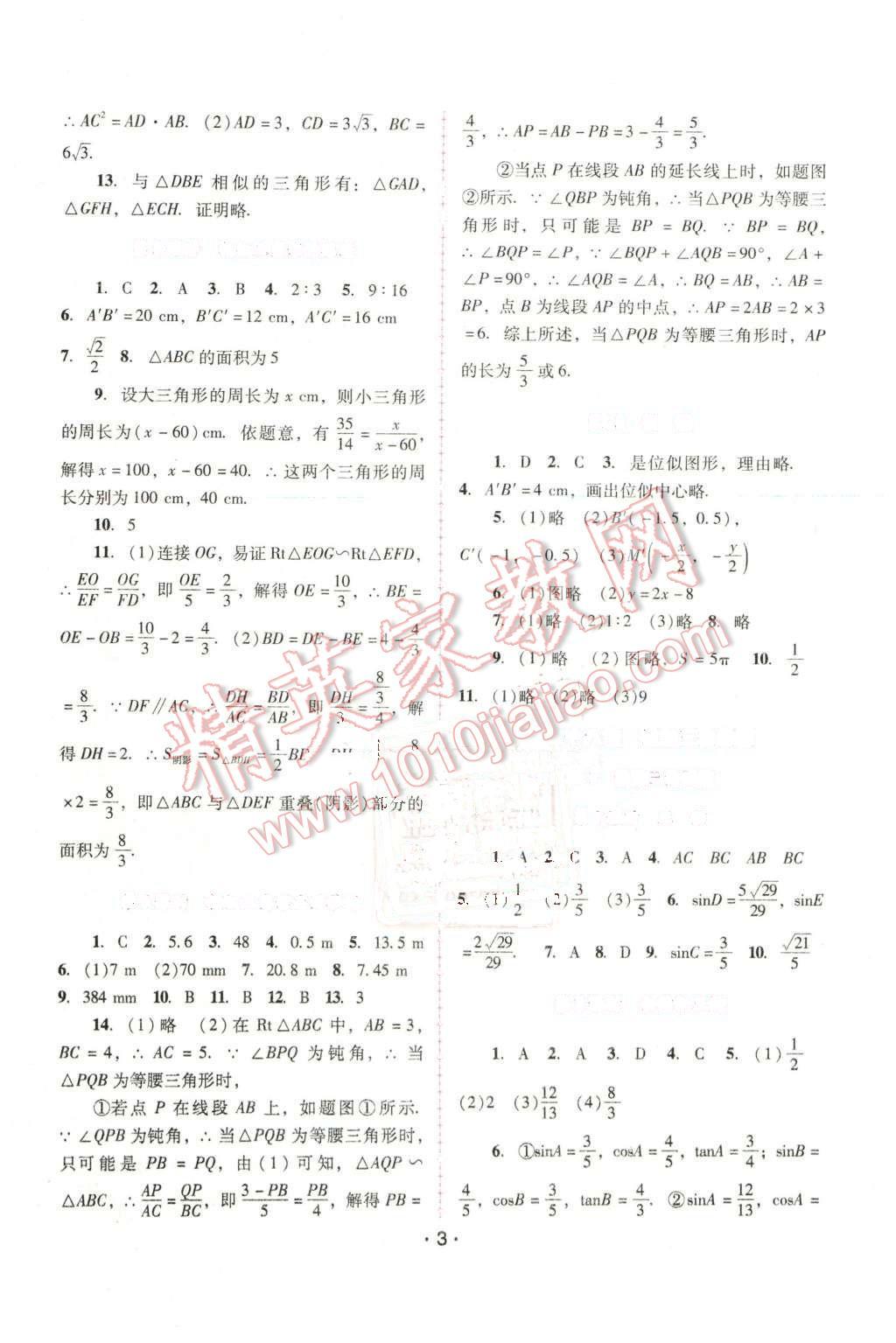 2016年自主与互动学习新课程学习辅导九年级数学下册人教版 第3页