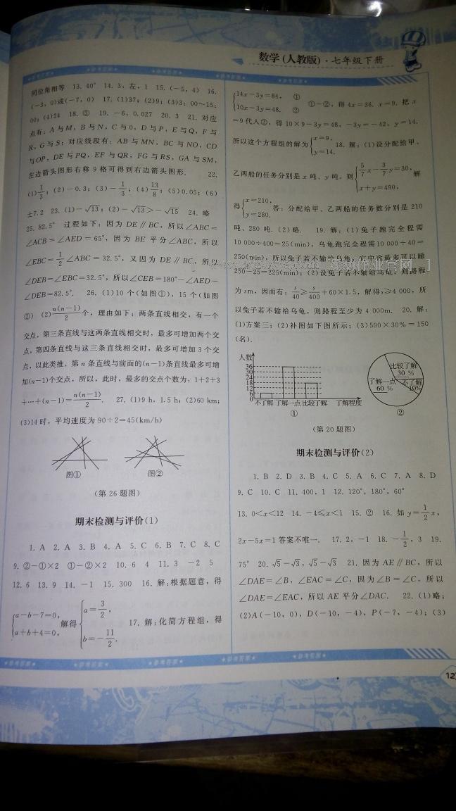 2015年課程基礎訓練七年級數(shù)學下冊人教版 第31頁