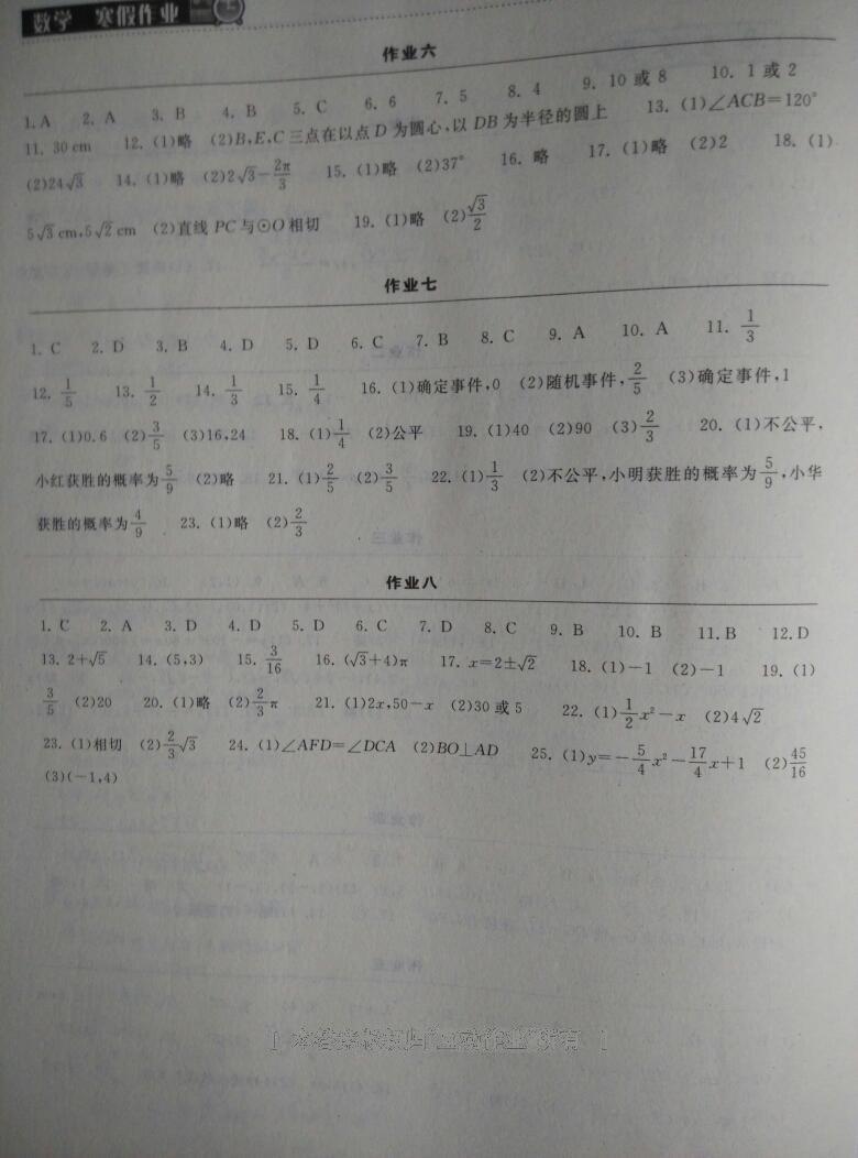 2016年长江作业本寒假作业九年级数学 第4页