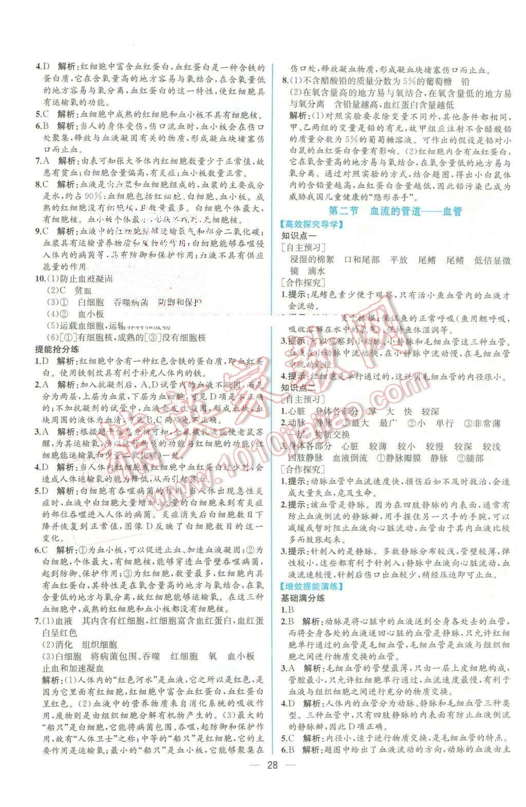 2016年同步导学案课时练七年级生物学下册人教版 第12页