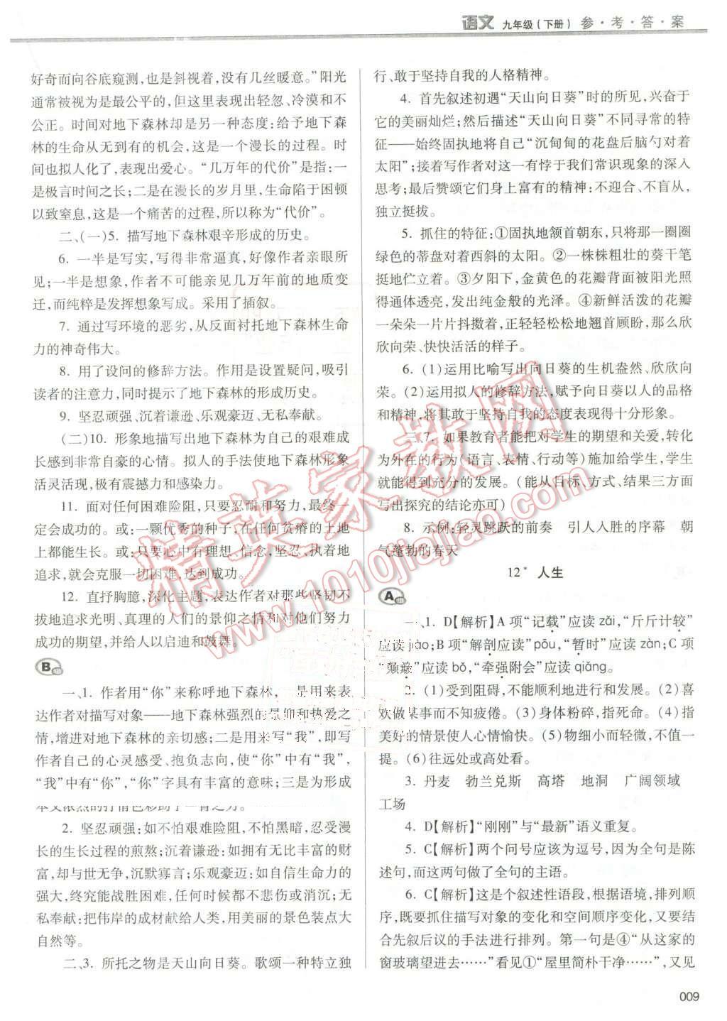 2016年学习质量监测九年级语文下册人教版 第9页