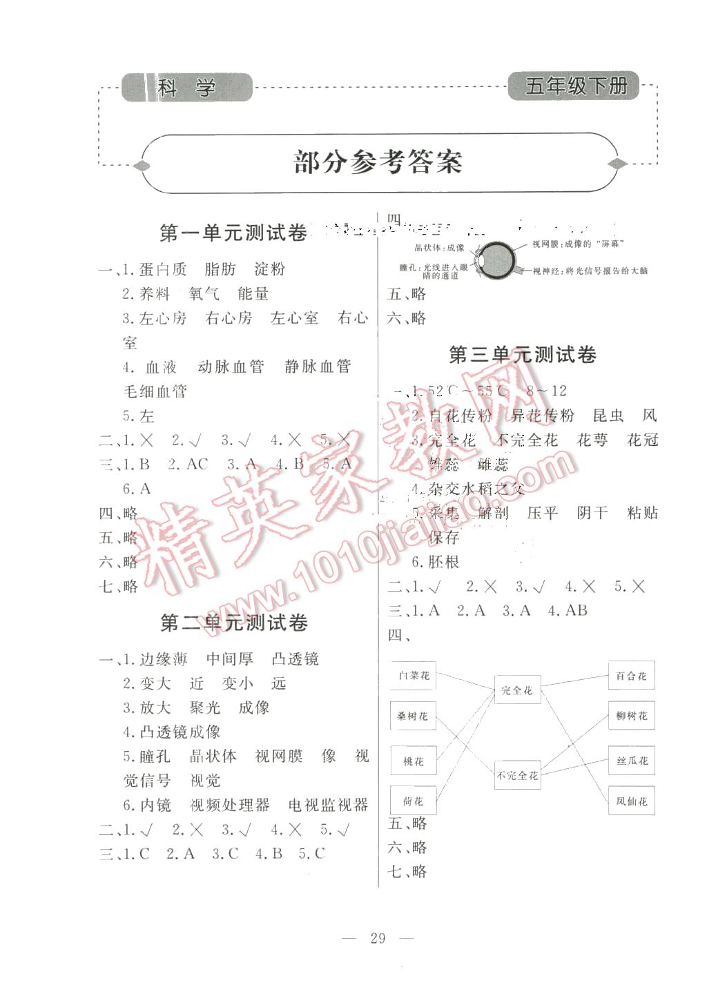 2016年配套練習冊八年級語文下冊魯教版 第1頁