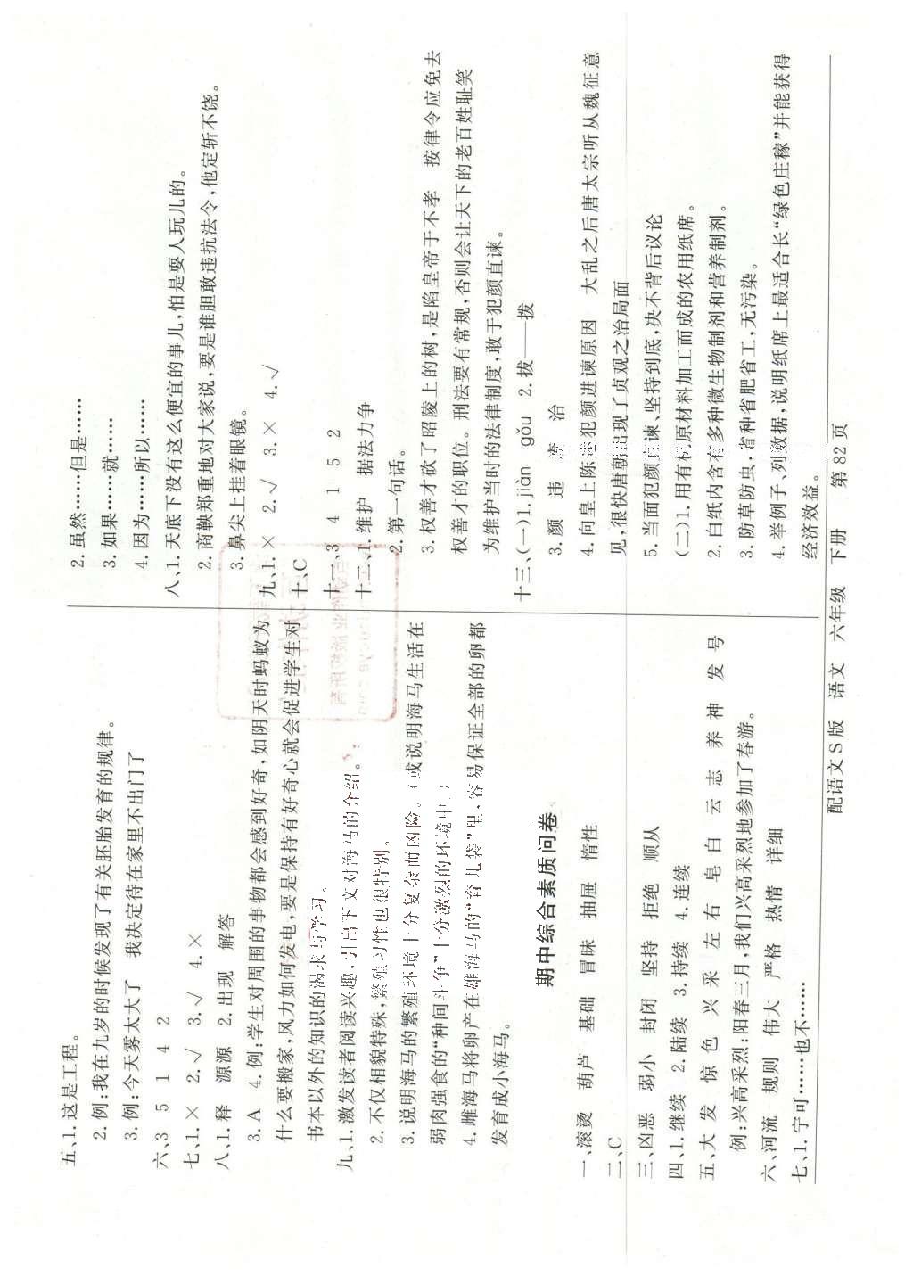 2016年同步导学与优化训练六年级语文下册语文S版 综合素质问卷第10页