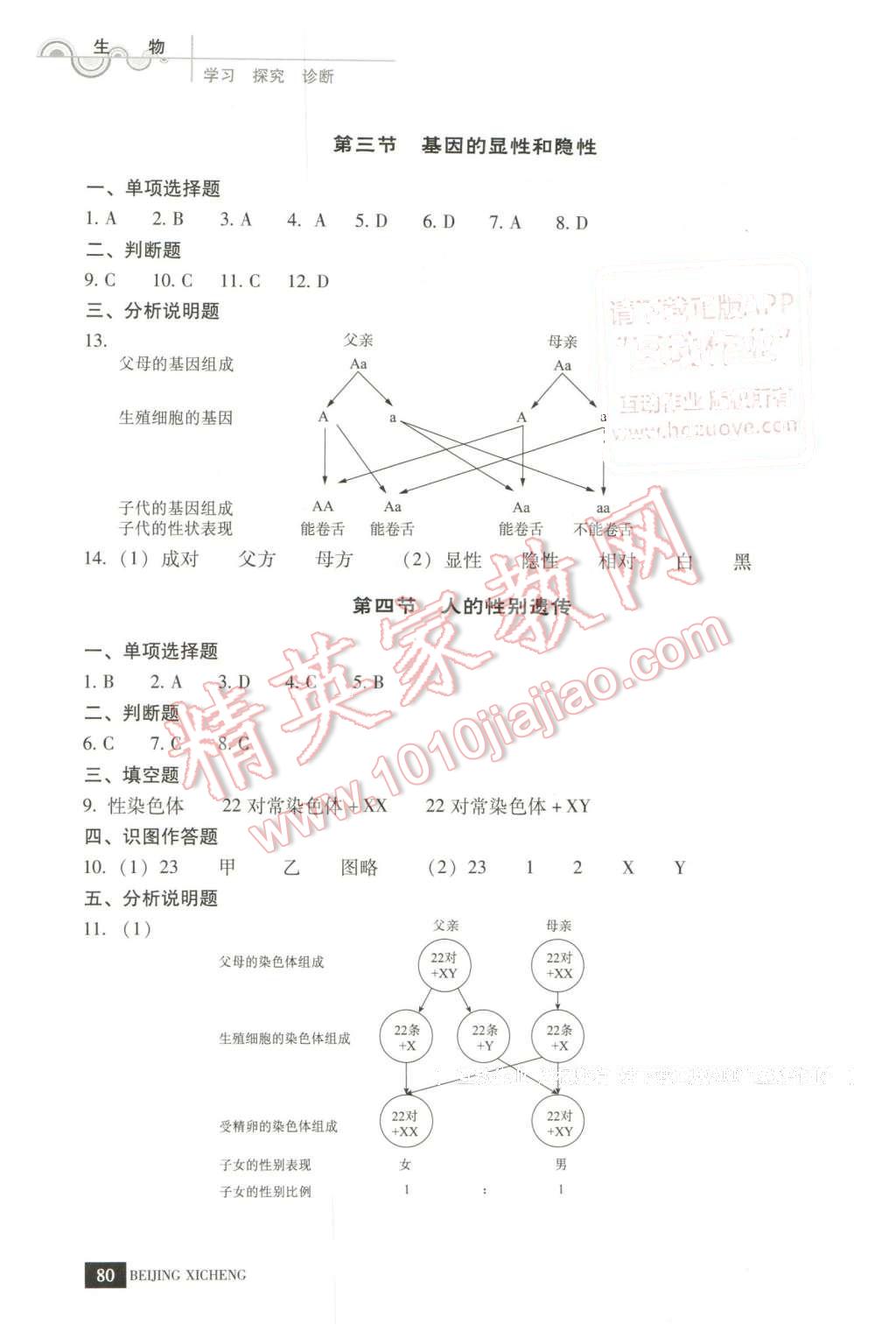 2016年學(xué)習(xí)探究診斷八年級(jí)生物下冊 第4頁