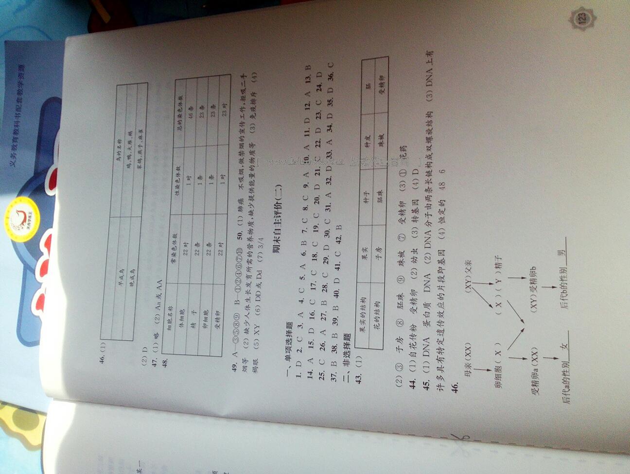 2015年新編基礎(chǔ)訓(xùn)練八年級(jí)中國(guó)歷史下冊(cè)人教版 第158頁(yè)