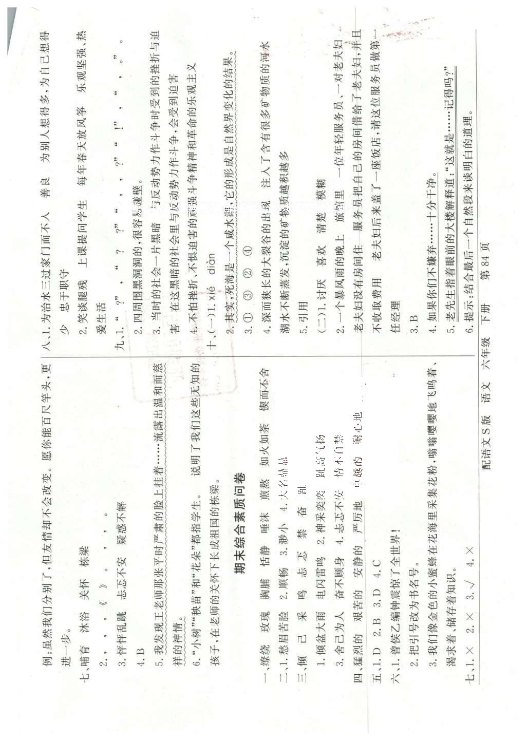 2016年同步導(dǎo)學(xué)與優(yōu)化訓(xùn)練六年級語文下冊語文S版 綜合素質(zhì)問卷第12頁