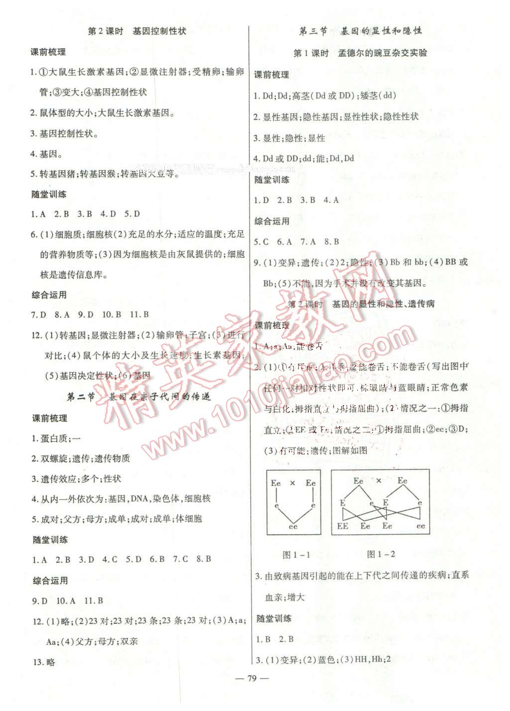 2016年高效學(xué)案金典課堂八年級生物下冊人教版 第3頁