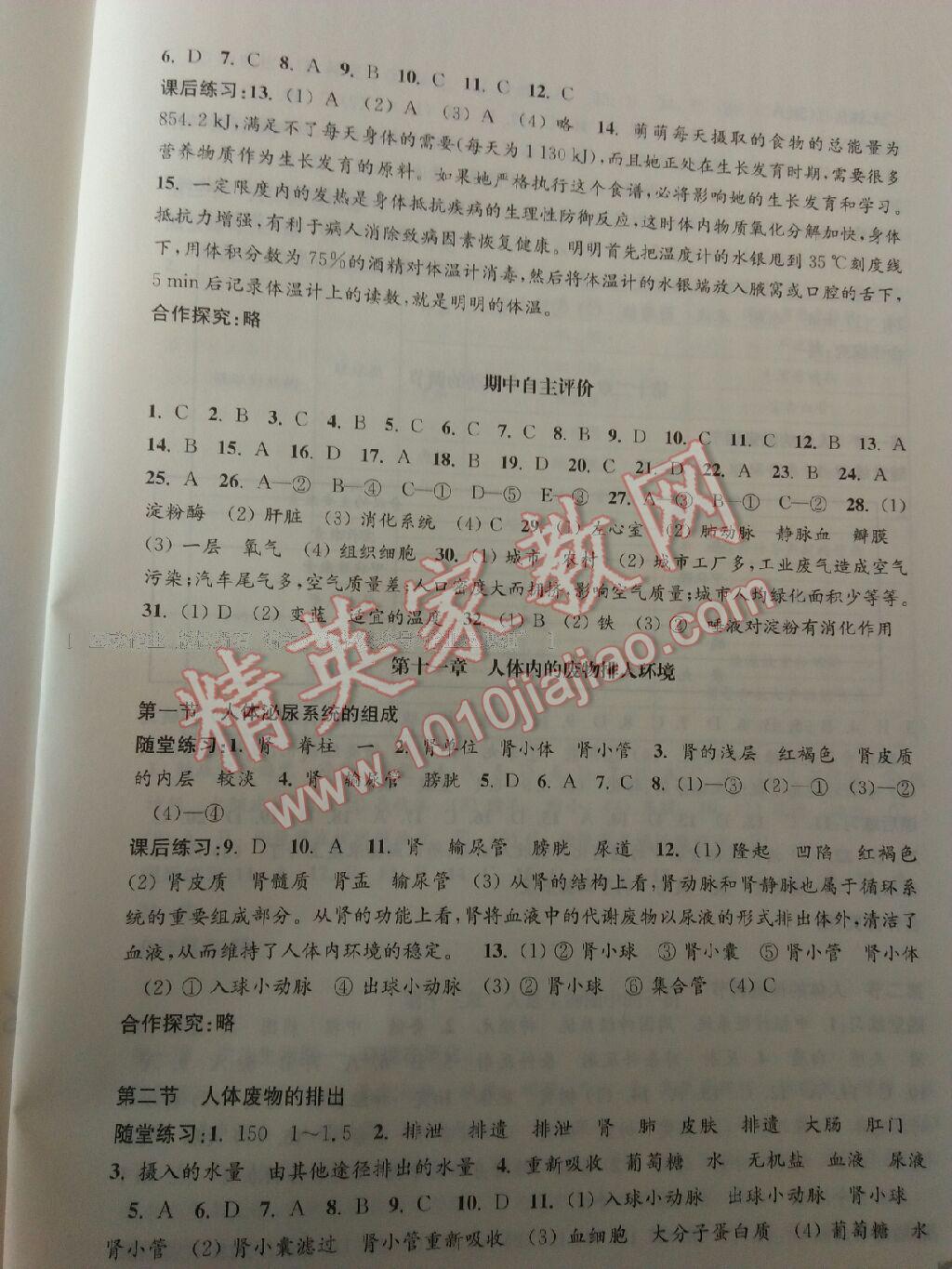 2015年學習與評價七年級生物學下冊蘇教版江蘇鳳凰教育出版社 第24頁