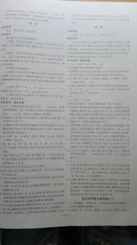 2015年能力培養(yǎng)與測試七年級語文下冊人教版 第31頁