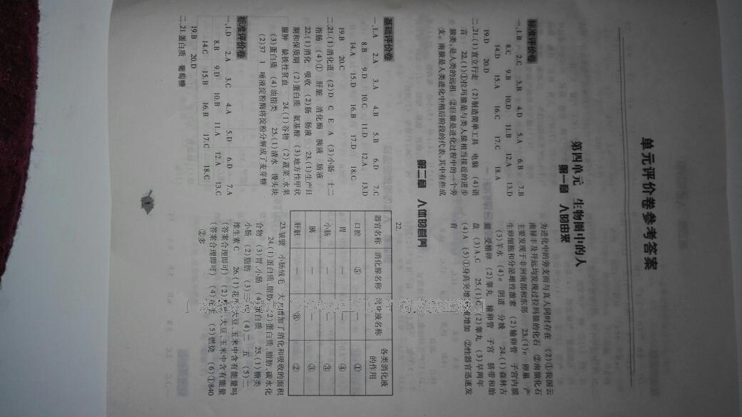 2016年基礎訓練七年級生物學下冊人教版河南省內使用 第16頁