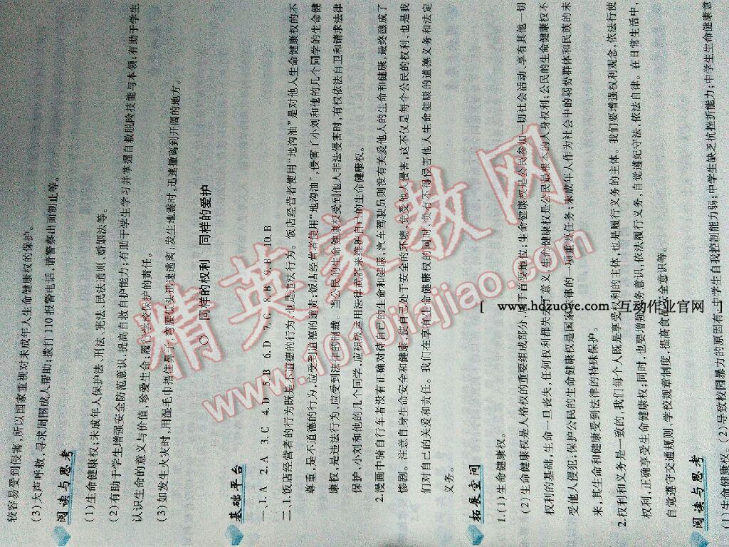 2015年新編基礎訓練八年級思想品德下冊人教版黃山書社 第31頁