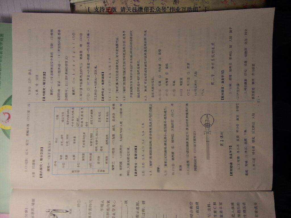 2015年能力培养与测试七年级生物学上册人教版 第31页