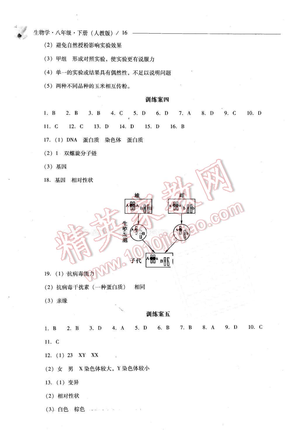 2016年新課程問題解決導(dǎo)學方案八年級生物學下冊人教版 第16頁