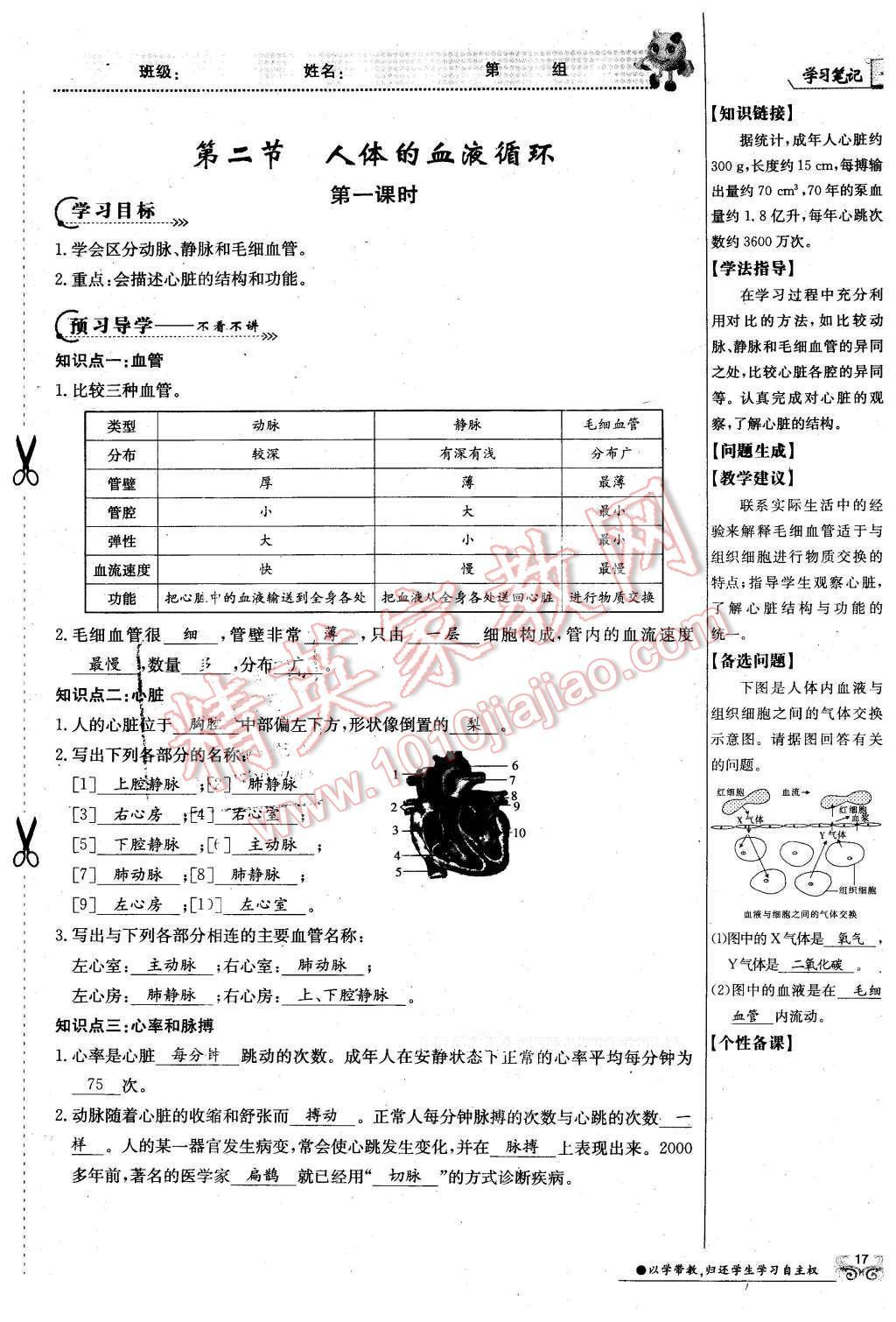 2016年金太陽導(dǎo)學(xué)案七年級生物下冊蘇教版 第17頁