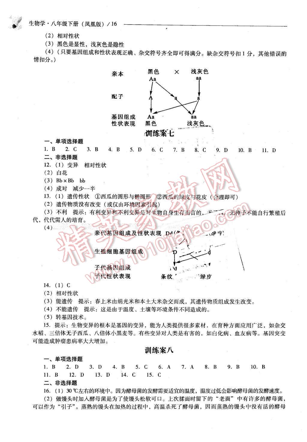 2016年新課程問題解決導(dǎo)學(xué)方案八年級生物學(xué)下冊鳳凰版 第16頁