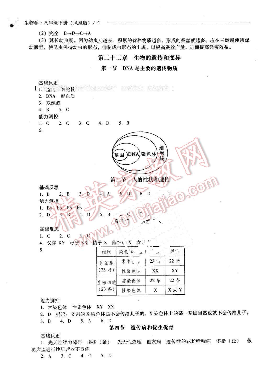 2016年新課程問題解決導(dǎo)學(xué)方案八年級生物學(xué)下冊鳳凰版 第4頁